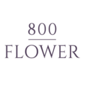 فلاور 800 - 800 Flower